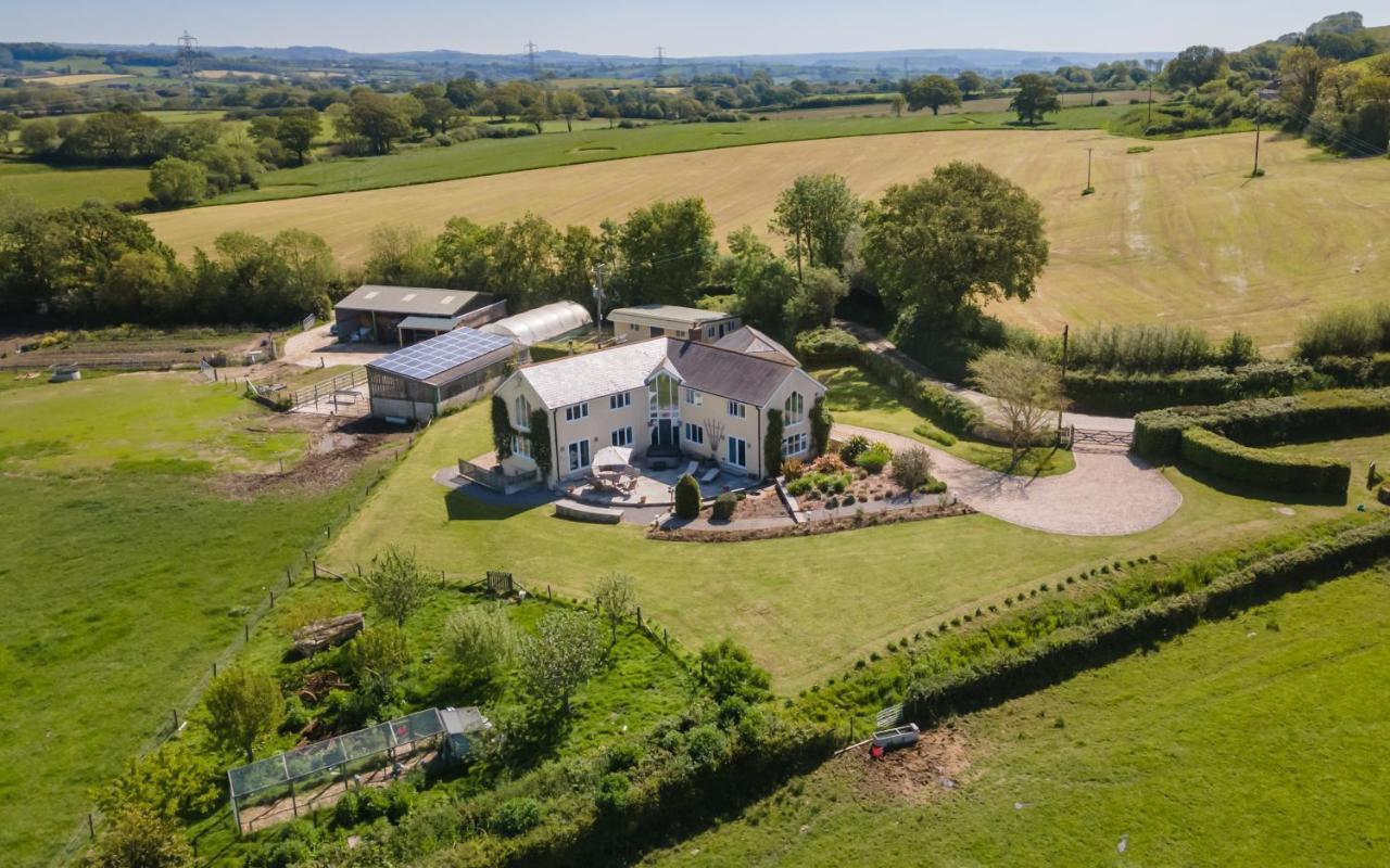 Copse Gate Farm Acomodação com café da manhã Bridport Exterior foto